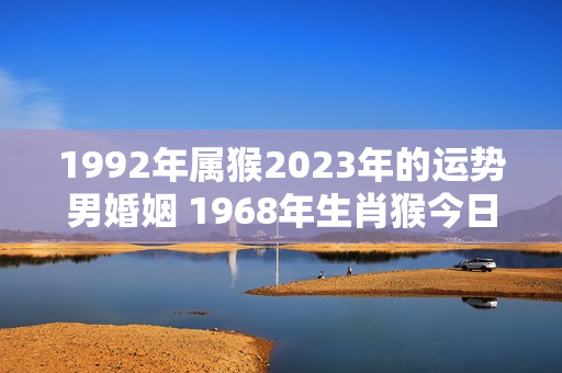 1992年属猴2023年的运势男婚姻 1968年生肖猴今日运势