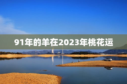 91年的羊在2023年桃花运