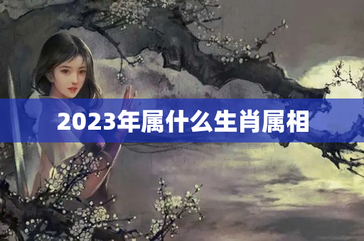 2023年属什么生肖属相