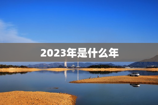 2023年是什么年