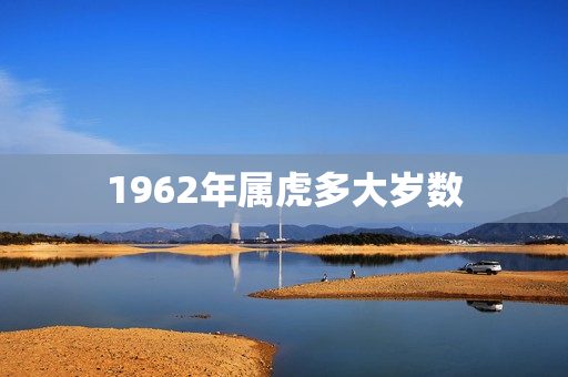 1962年属虎多大岁数