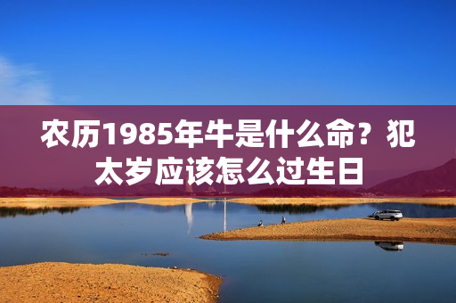 农历1985年牛是什么命？犯太岁应该怎么过生日