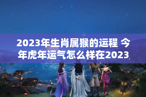 2023年生肖属猴的运程 今年虎年运气怎么样在2023