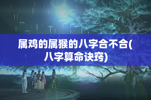 属鸡的属猴的八字合不合(八字算命诀窍)