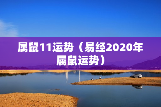 属鼠11运势（易经2020年属鼠运势）