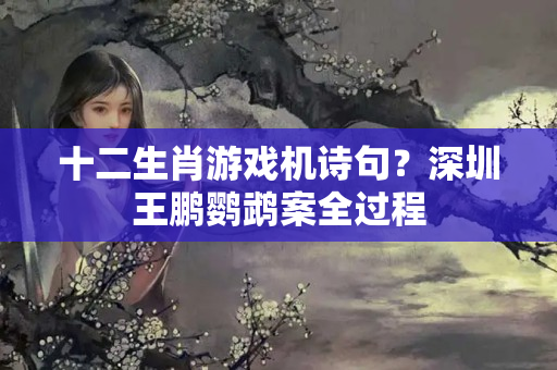 十二生肖游戏机诗句？深圳王鹏鹦鹉案全过程