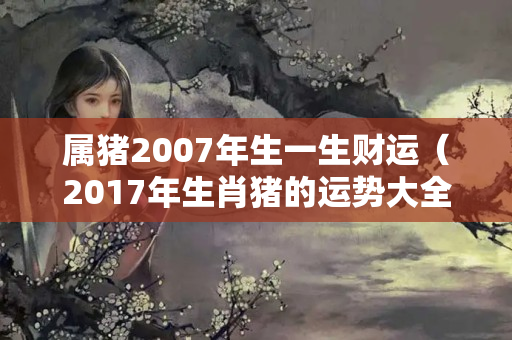 属猪2007年生一生财运（2017年生肖猪的运势大全）