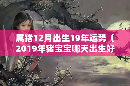 属猪12月出生19年运势（2019年猪宝宝哪天出生好）