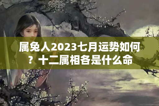 属兔人2023七月运势如何？十二属相各是什么命