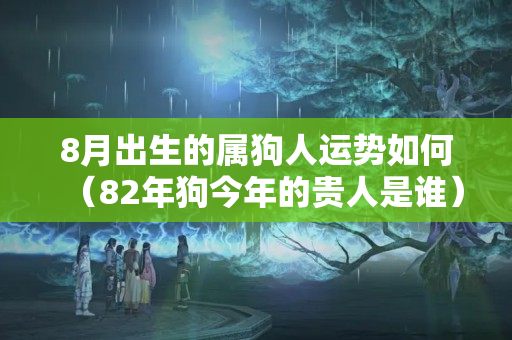 8月出生的属狗人运势如何（82年狗今年的贵人是谁）