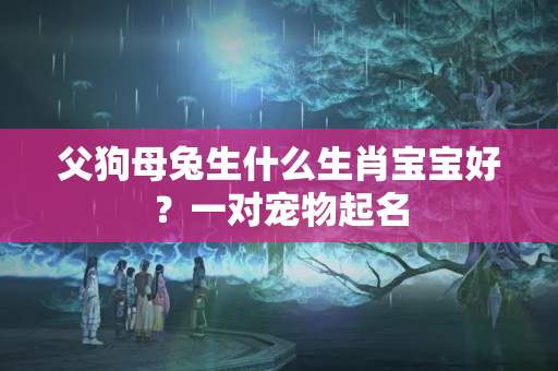 父狗母兔生什么生肖宝宝好？一对宠物起名