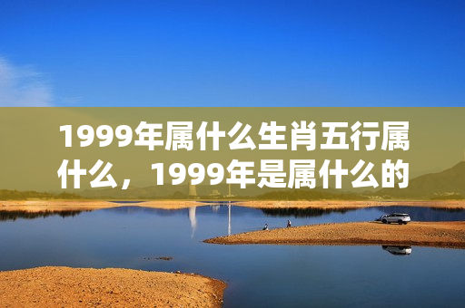 1999年属什么生肖五行属什么，1999年是属什么的什么生肖