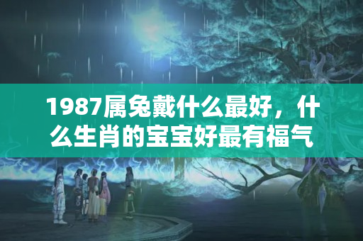 1987属兔戴什么最好，什么生肖的宝宝好最有福气