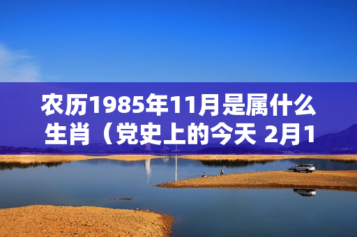 农历1985年11月是属什么生肖（党史上的今天 2月11日）