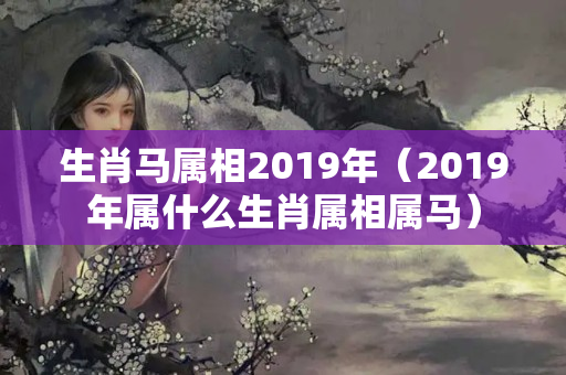 生肖马属相2019年（2019年属什么生肖属相属马）