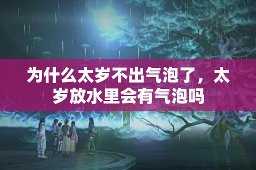 为什么太岁不出气泡了，太岁放水里会有气泡吗