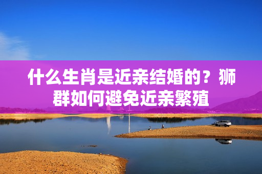 什么生肖是近亲结婚的？狮群如何避免近亲繁殖