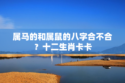 属马的和属鼠的八字合不合？十二生肖卡卡