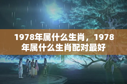 1978年属什么生肖，1978年属什么生肖配对最好