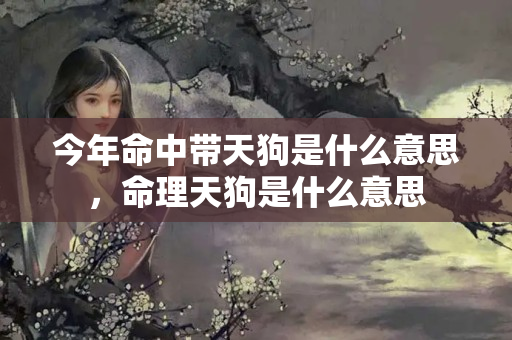 今年命中带天狗是什么意思，命理天狗是什么意思