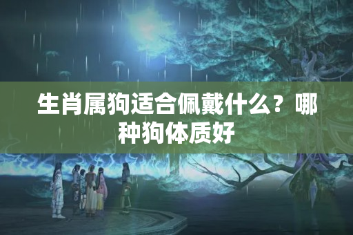 生肖属狗适合佩戴什么？哪种狗体质好