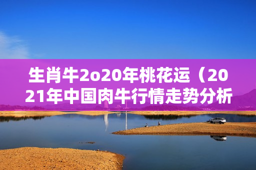 生肖牛2o20年桃花运（2021年中国肉牛行情走势分析报告）