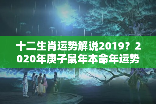 十二生肖运势解说2019？2020年庚子鼠年本命年运势