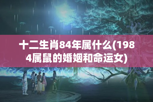 十二生肖84年属什么(1984属鼠的婚姻和命运女)