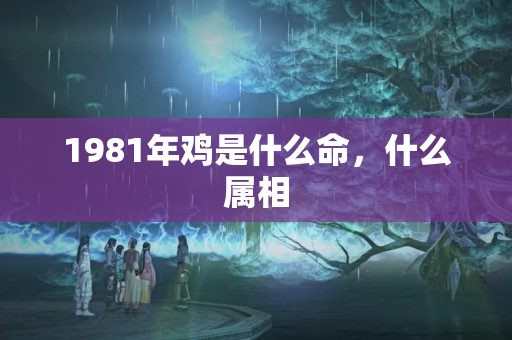 1981年鸡是什么命，什么属相