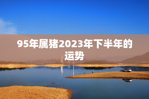 95年属猪2023年下半年的运势