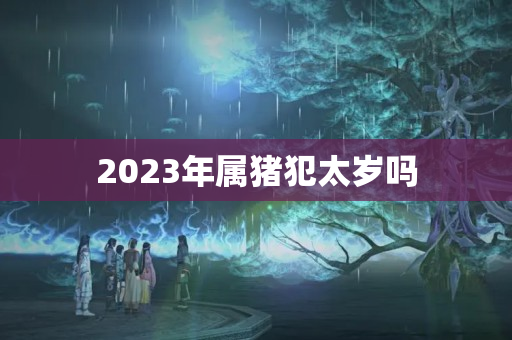 2023年属猪犯太岁吗