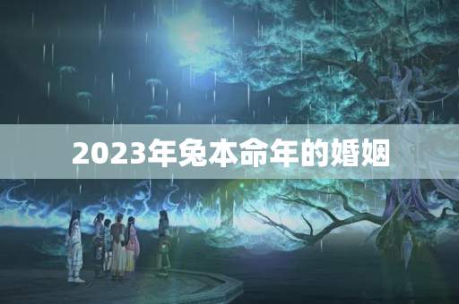 2023年兔本命年的婚姻