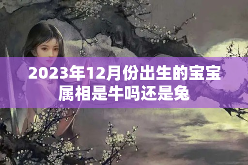 2023年12月份出生的宝宝属相是牛吗还是兔