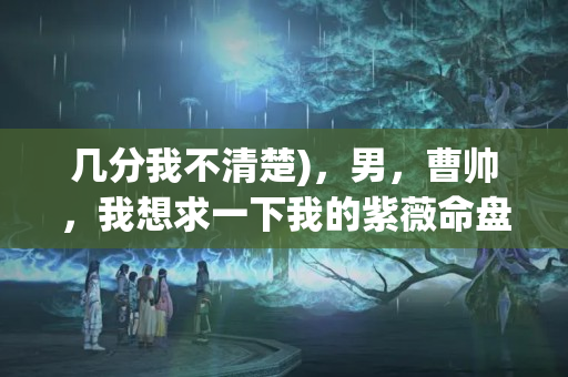 几分我不清楚)，男，曹帅，我想求一下我的紫薇命盘，要准的