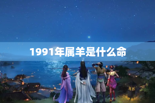 1991年属羊是什么命