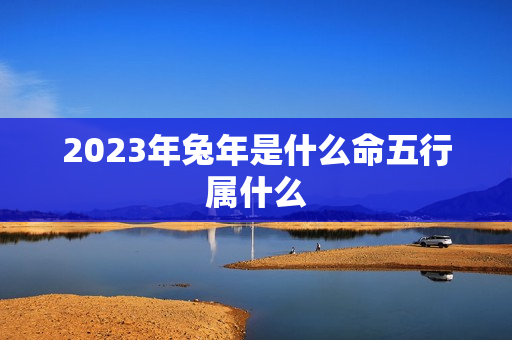 2023年兔年是什么命五行属什么