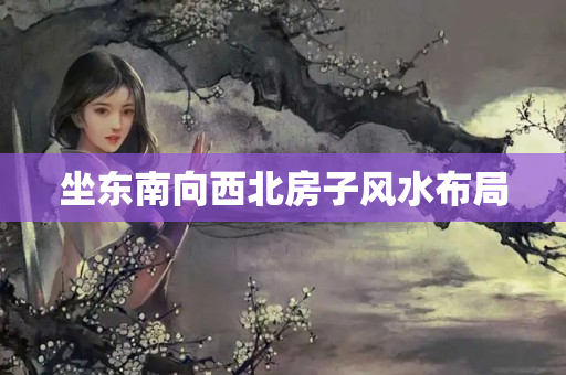 坐东南向西北房子风水布局