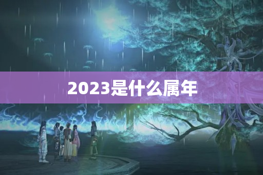 2023是什么属年