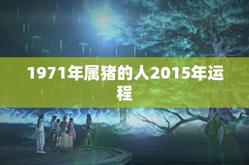 1971年属猪的人2015年运程