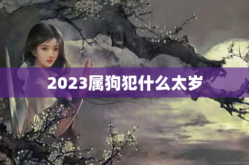 2023属狗犯什么太岁