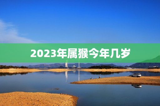 2023年属猴今年几岁