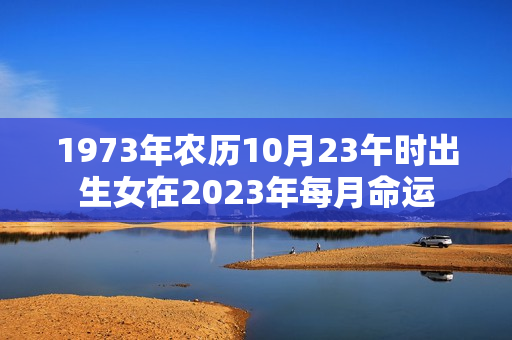 1973年农历10月23午时出生女在2023年每月命运