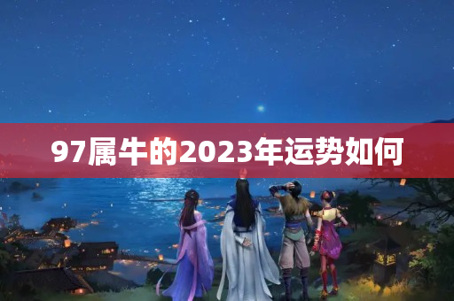 97属牛的2023年运势如何