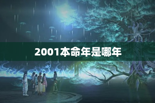 2001本命年是哪年