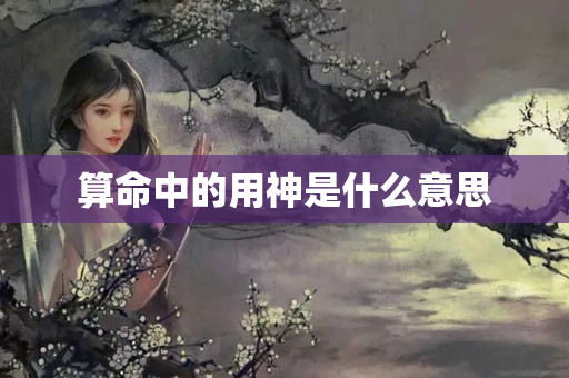 算命中的用神是什么意思