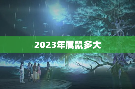 2023年属鼠多大