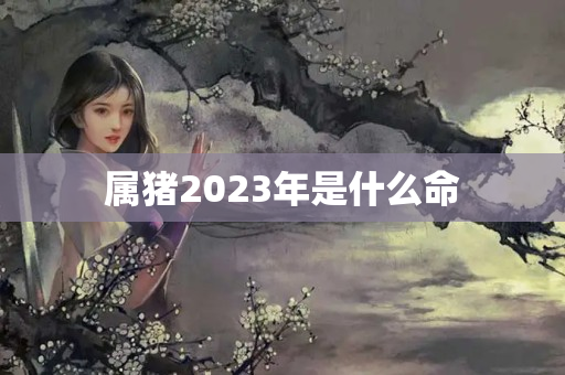 属猪2023年是什么命