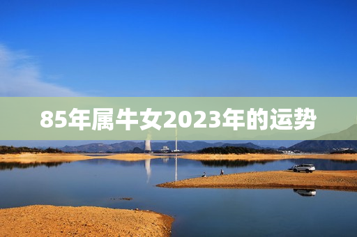 85年属牛女2023年的运势