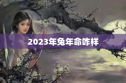 2023年兔年命咋样