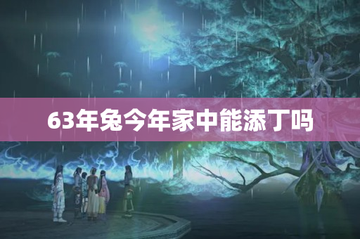 63年兔今年家中能添丁吗